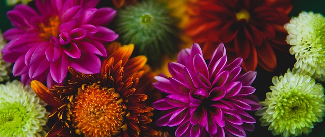 生涯达到了 生涯达到了