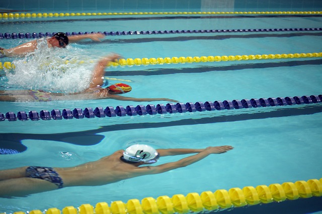 不僅山東泰 不僅山東泰