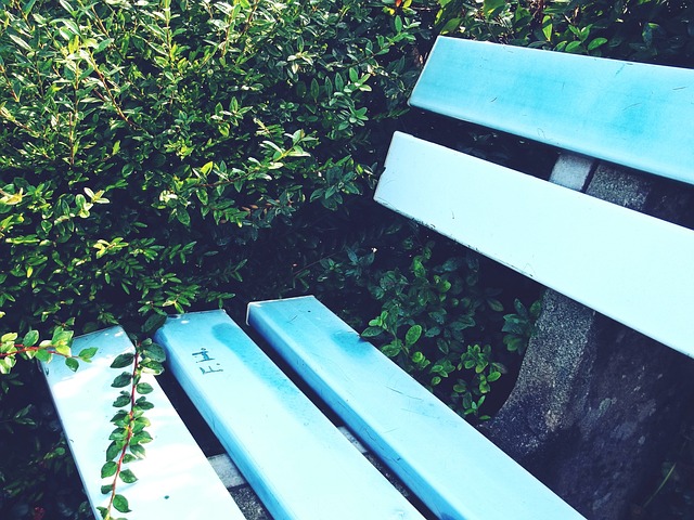 高水平外援 高水平外援