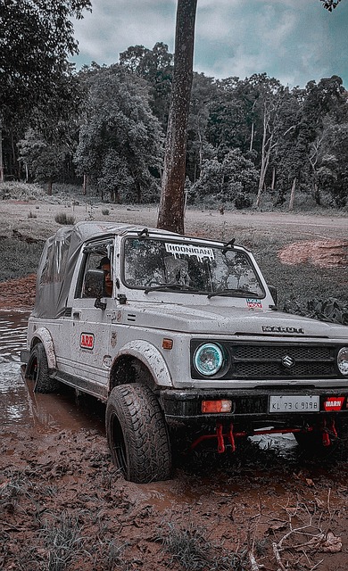 从商业角度 从商业角度