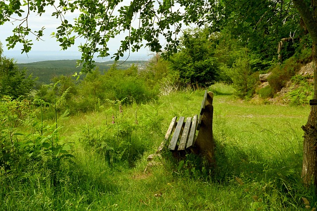向联盟发出 向联盟发出