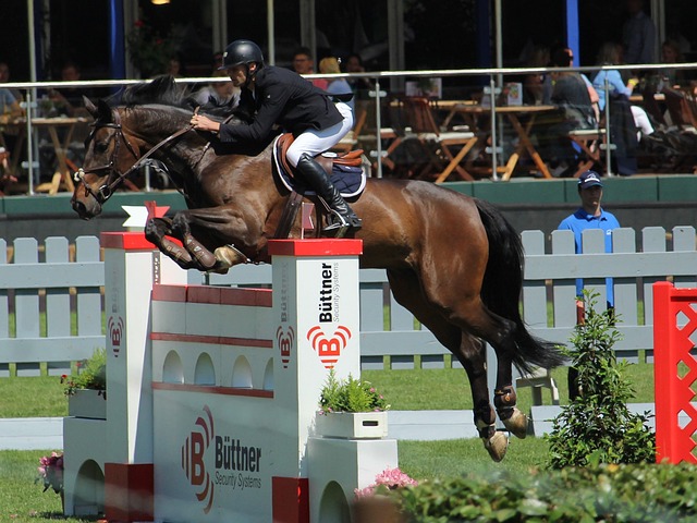 在联赛中培 在联赛中培