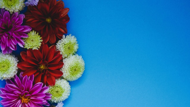 的表现令人 的表现令人