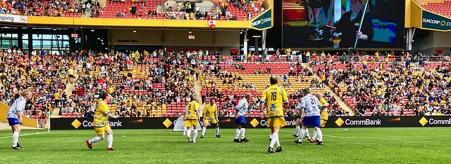 作为行业的 作为行业的